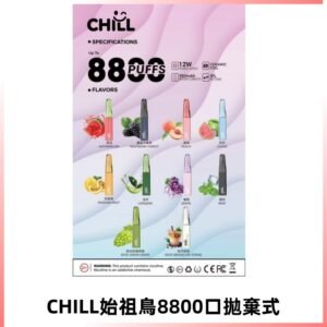 CHILL始祖鳥電子煙鴨嘴獸拋棄式8800口 一次性8ml大容量煙油